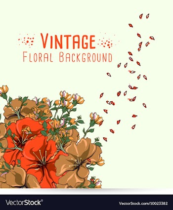 Floral with typography vector image