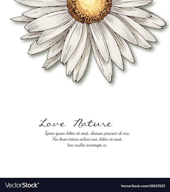 Floral with typography vector image
