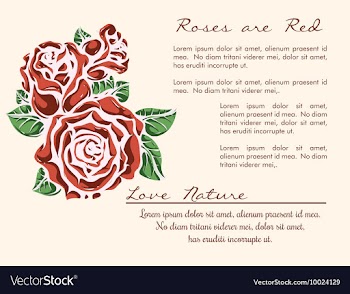 Floral with typography vector image