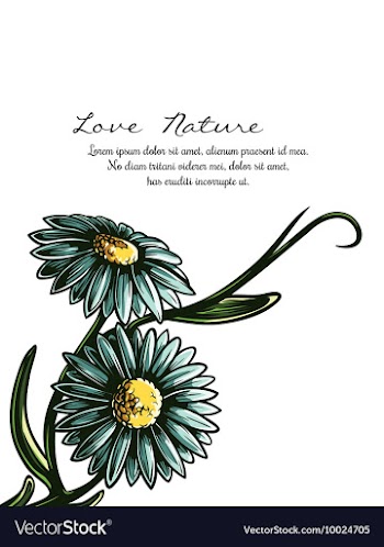 Floral with typography vector image