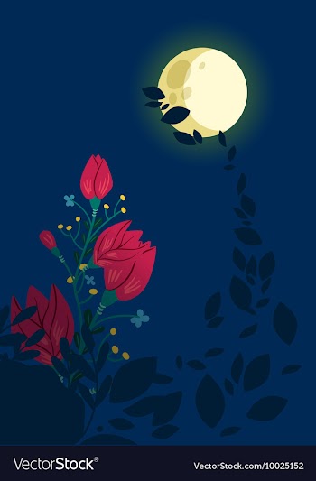 Floral with typography vector image