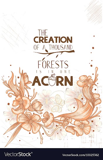 Floral with typography vector image