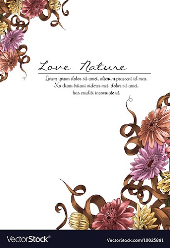 Floral with typography vector image