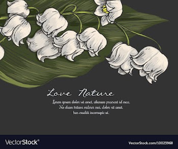 Floral with typography vector image