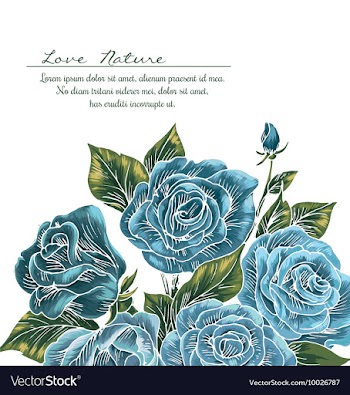 Floral with typography vector image
