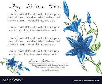 Floral with typography vector image