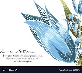 Floral with typography vector image