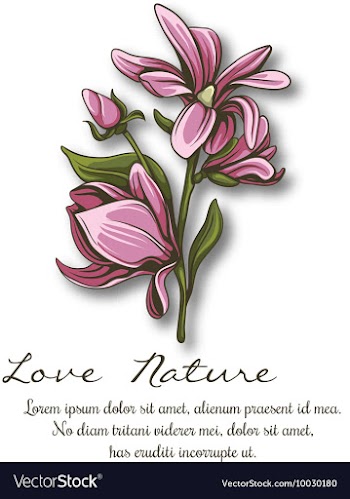 Floral with typography vector image