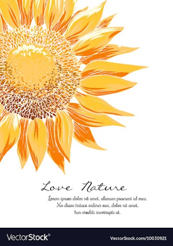 Floral with typography vector image