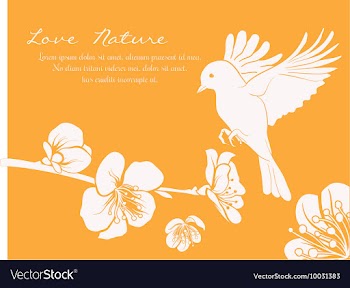 Floral with typography vector image
