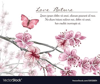Floral with typography vector image