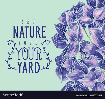Floral with typography vector image