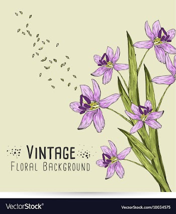 Floral with typography vector image
