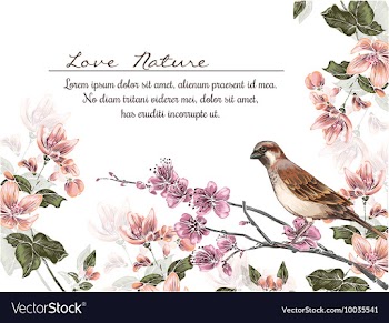 Floral with typography vector image