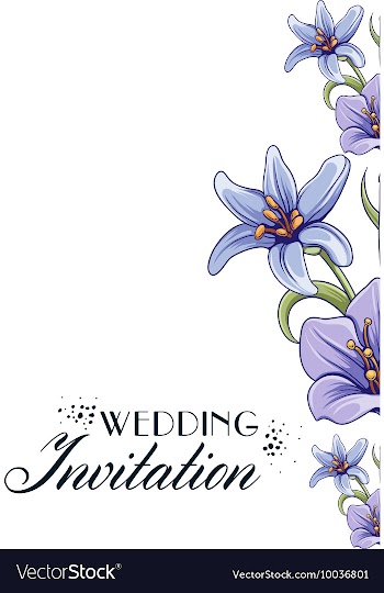 Floral with typography vector image