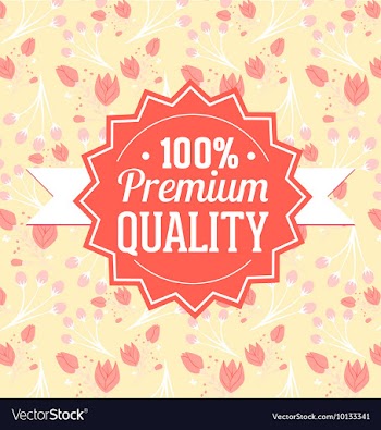 Floral with typography vector image