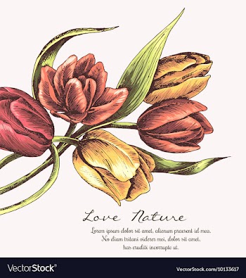 Floral with typography vector image