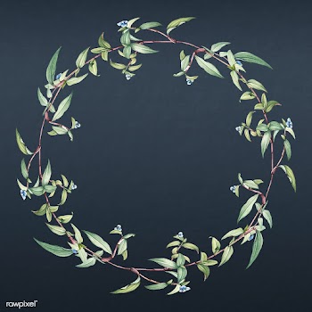 Floral wreath frame | Free stock illustration - 595431