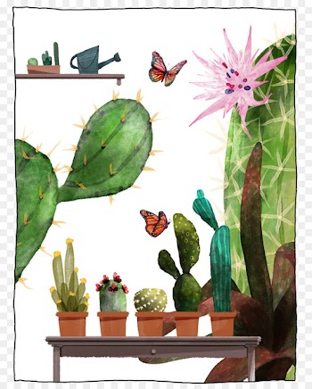 Florence, Cactus, Illustrator, Plant PNG