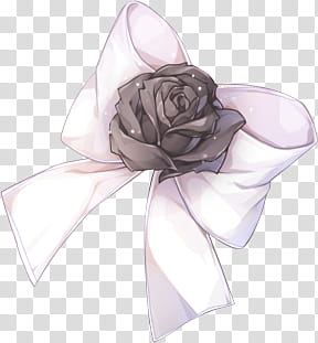 Flores III, white bow ribbon transparent background PNG clipart