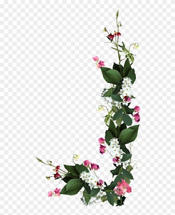 Flores Naturales, Natural Flowers - Boa Tarde Emoji