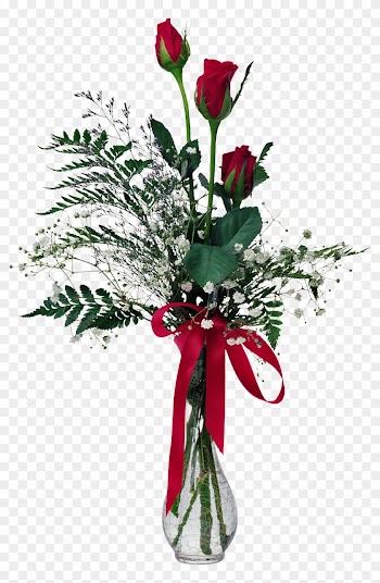 Flores Naturales, Natural Flowers - Flores Naturales, Natural Flowers