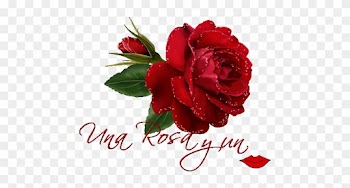 Flores Para Ambientar," Decorar Jardines Y Fachadas - Welcome Rose