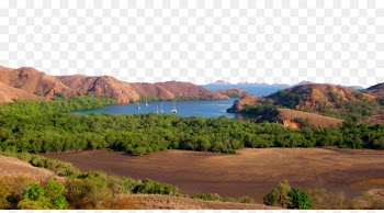 Flores Pink Beach Komodo National Park Sumbawa - Indonesia Komodo National Park Pictures 