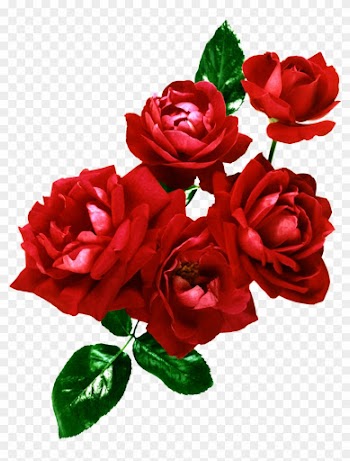 Flores Png, Ramos, Etc, Renders - Wedding Frame Psd