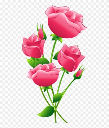 Flores Rosa Cor De Rosa 6 Png - Clip Art Pink Rose