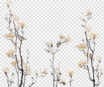 Flores vintage, white magnolia flowers in bloom transparent background PNG clipart