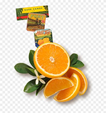 Florida's Natural Orange Juice The Best Orange Juice - Rangpur