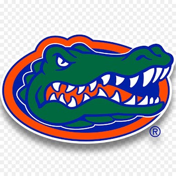Florida Gators football Florida Gators men's basketball Florida Gators baseball Florida Gators women's volleyball University of Florida - go gators 