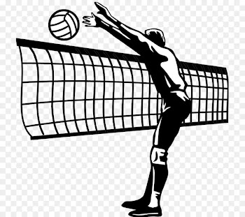 Florida Gators women's volleyball A1 Ethniki Volleyball Sport CEV Champions League - volleyball 