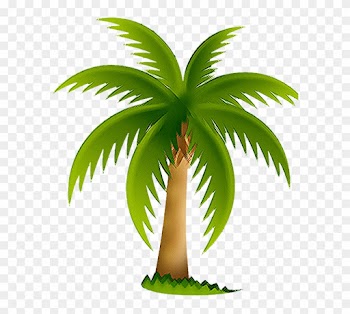 Florida Junk Removal And Hauling Services - Palm Tree Clip Art