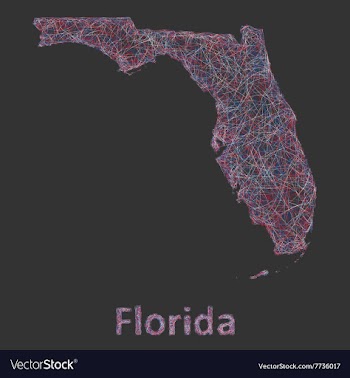 Florida line art map vector image