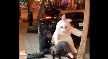 Florida Man Gets Beat Up By The Easter Bunny After Hitting A Woman