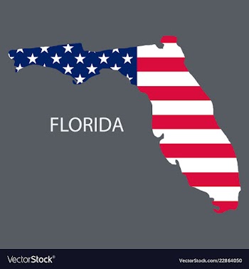Florida state of america with map flag print on vector image