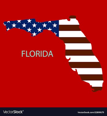 Florida state of america with map flag print on vector image