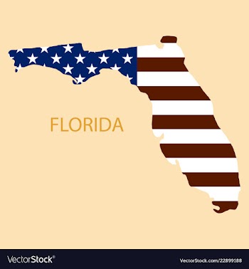 Florida state of america with map flag print on vector image
