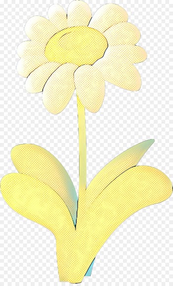 Floristry, Cut Flowers, Petal, Yellow, Flower PNG