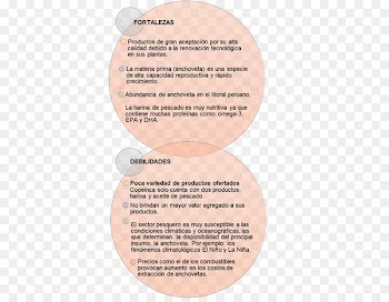 Flour Fish meal Fish oil Empresa Peru - flour 