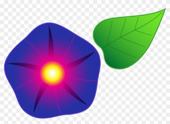 Flourish Clipart Morning Glory Vine Clipart Sweet Pea - Morning Glory Cartoon Flower