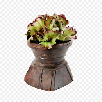 Flower -  