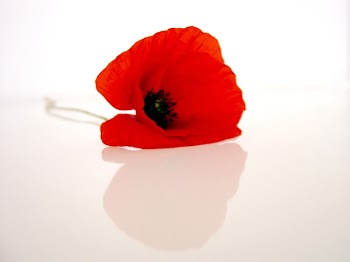 flower-05.jpg