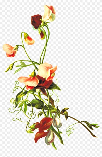 Flower 54 - Flower &amp; Leaf Png