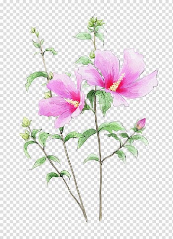 Flower , Abstract flowers flowers flowers,Bouquet flowers hand-painted cartoon transparent background PNG clipart