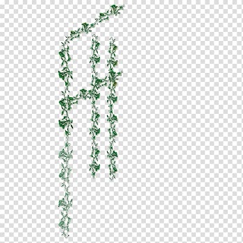 Flower Adobe Illustrator , Decorative flower frame transparent background PNG clipart