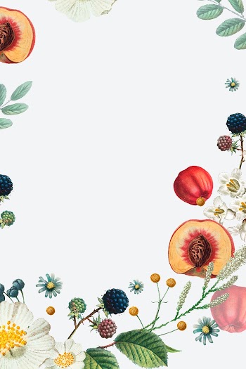Flower and fruit decorated frame vector