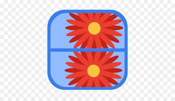 flower area petal point - Media wmm 